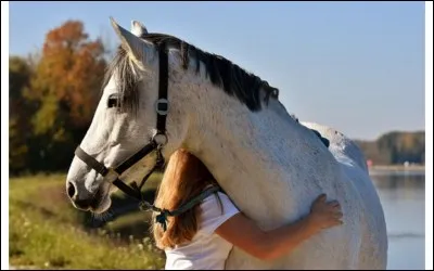 Es-tu allergique aux chevaux ?