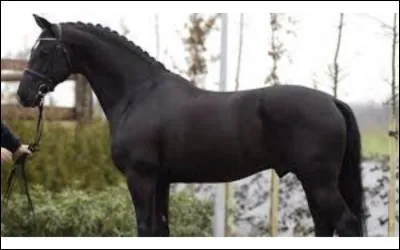 Aimes-tu avoir des responsabilités ?