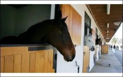 Supportes-tu l'odeur des chevaux ?