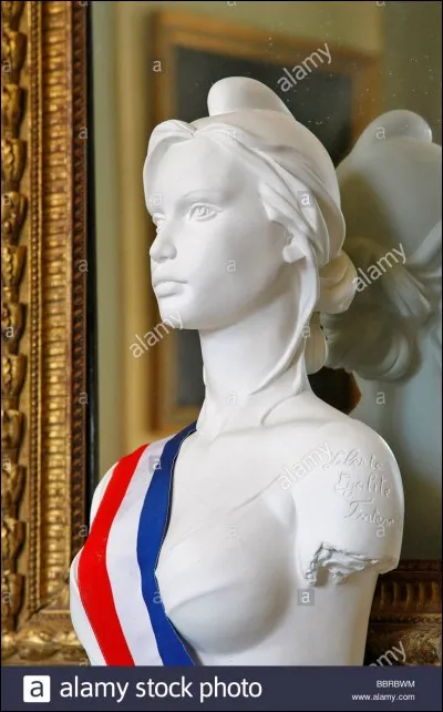 Qui décide du visage de Marianne ?