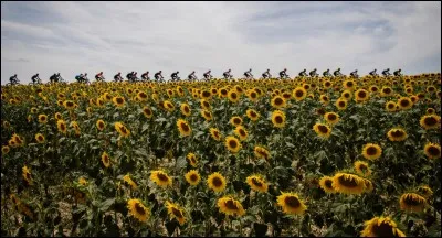 Quelle équipe remporte le sixième titre de meilleure équipe du Tour de France de son histoire ?