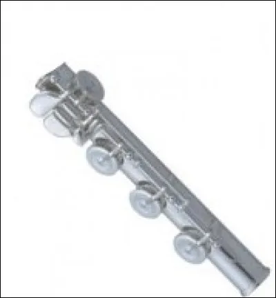 Quel est le nom de la partie de cette flûte ?