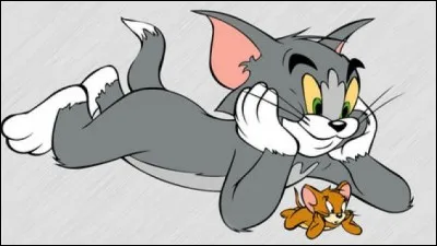 Quel est ce binôme d'une série de courts-métrages animés américaine ?