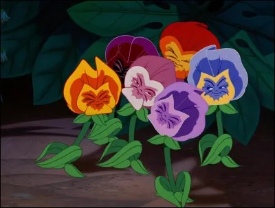 Pourquoi les fleurs sont-elles aussi peu sympathiques avec elle ?