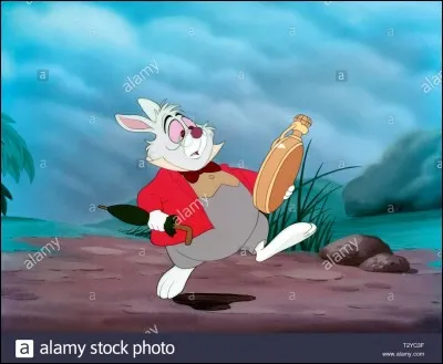 De quelle couleur est le lapin ? Il est :