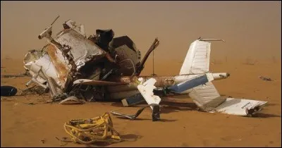 L'hélicoptère fait plusieurs loopings en plein désert, s'écrase, et se désintègre. C'était en 1986, et Daniel Balavoine trouva la mort dans ce tragique accident. Dans quel pays ?