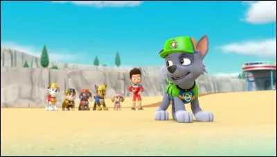 Maths - Une carte est pr&eacute;lev&eacute;e dans un jeu standard de 52 cartes. Quelle est la probabilit&eacute; d'obtenir un tr&egrave;fle ?