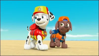 Physique - Dans quelle repr&eacute;sentation erron&eacute;e les rayons marginaux donnent-ils une distance focale plus courte que les rayons paraxiaux ?