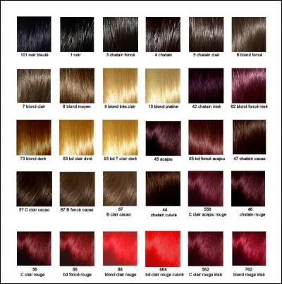 Tu as les cheveux de couleur...