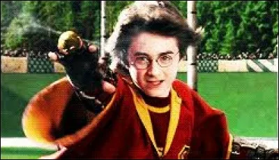 Ton poste préféré au quidditch , c'est...