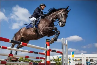 Quels sont les différents profils d'obstacles ?