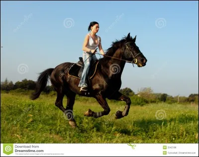 Le mécanisme du galop à droite :