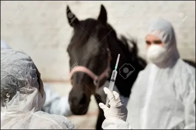Quel vaccin est-il important de faire pour les chevaux qui participent à des épreuves hippiques collectives ?