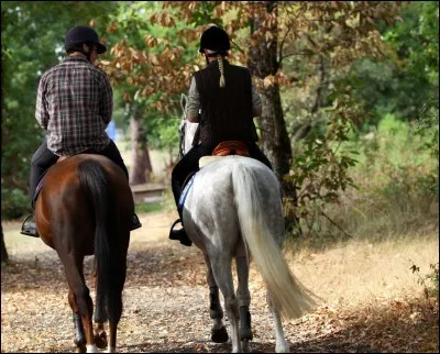 Coche la ou les règles justes :