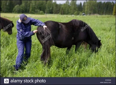 La température rectale doit-être comprise entre...