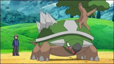 Torterra est-il de type Plante ?