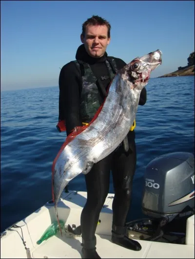 Au Japon, qu'est ce qu'un "tachi" ?