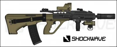 Quelle est cette arme ?