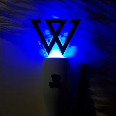 A quel groupe appartient ce lightstick ?