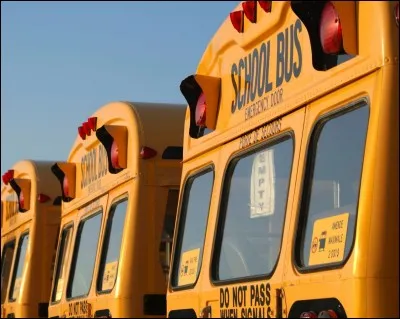 Tu es un &eacute;l&egrave;ve...