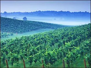 Comment s'appelle la rgion qui s'tend de l'Ocan aux montagnes et dont le nom s'inspire d'une rgion italienne ?