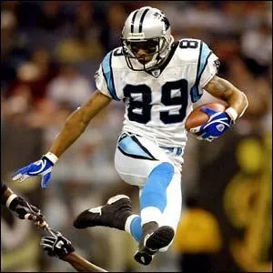 Comment s'appelle l'quipe de football amricain rprsentant la Caroline du Nord  la NFL ?