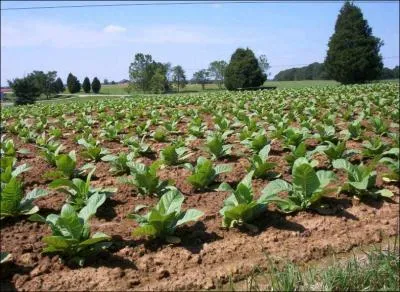 Laquelle de ces ressources a toujours t la plus exploite  l'intrieur de l'Etat ?