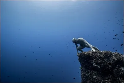 AIDA international ne reconnaît en tant que "disciplines officielles" lors de l'établissement de records mondiaux ou lors de compétitions internationales combien de modules ?