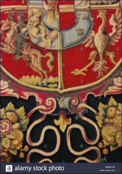 Quels motifs sont sur la robe de Tara quand elle est à Omois ?