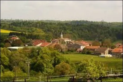 Je vous propose de partir dans le Grand-Est, à Griscourt. Village de la vallée de l'Esch et de la petit Suisse lorraine, il se situe dans le département ...