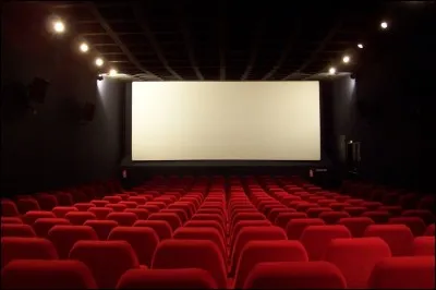 Enfin, avant de pouvoir diffuser publiquement les films, nous visionnons nos uvres dans la salle...