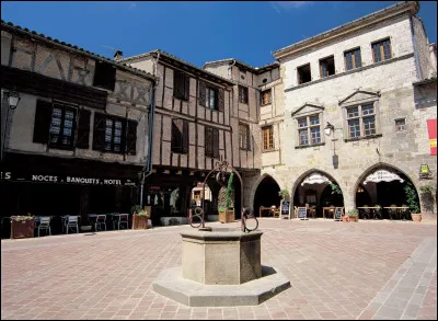 Castelnau-de-Montmiral poss&egrave;de le remarquable ch&acirc;teau de Raimon VI comte de Toulouse.