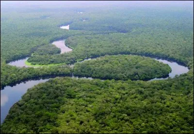 Quelle est la taille de la forêt du bassin du Congo ?