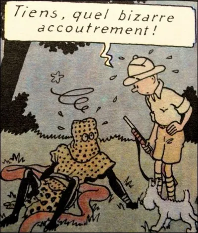 Quel était le surnom des assassins masqués de la société secrète des Aniotas, au Congo ?