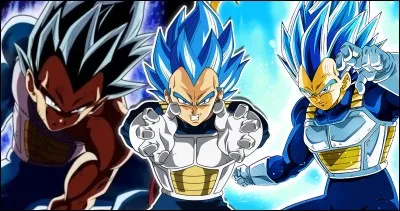 Quelle(s) transformation(s) a/ont dû atteindre Vegeta que Goku n'a pas atteint ?