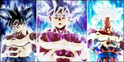 Quelle(s) transformation(s) a/ont atteint Goku que Vegeta n'a pas atteint ?