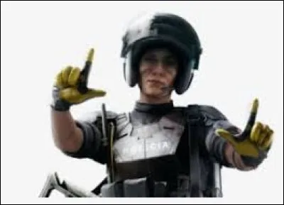 &Agrave; quelle famille appartient-elle ?