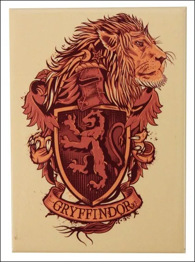 Parmi ces personnages, lequel est à Gryffondor ?