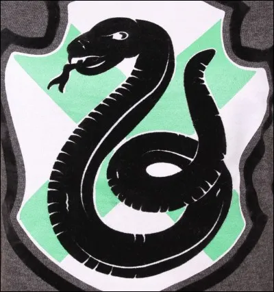 Parmi ces personnages, lequel est à Serpentard ?