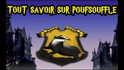 Où se trouve la salle commune des Poufsouffle ?
