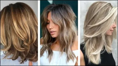 Choisissez une coiffure :