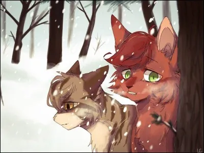 Qui sont les filles d'Étoile de Feu ?