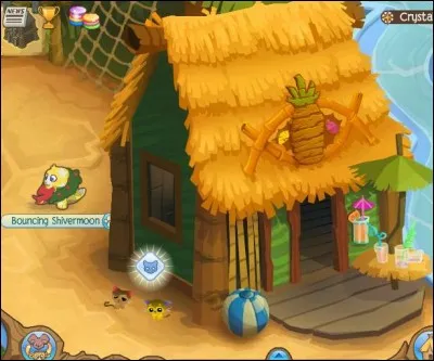 Cet endroit où nous avons les meilleurs smoothies, s'appelle la cabane à jus du Capitaine Miavilla il me semble, n'est-ce pas ?