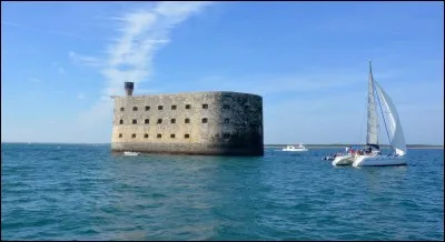 Comment s'appelle le cuisinier qui est humoriste sur "Fort Boyard" ?