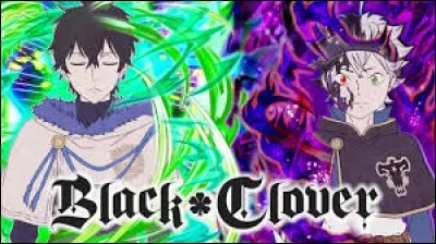 Dans "Black Clover", quel nom de famille n'est pas celui d'une famille royale ?