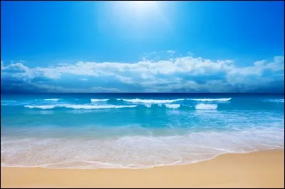 Laquelle de ces choses trouveriez-vous dans la mer ?