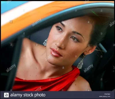 L'Agence a repris ses activités...