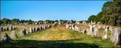 Les alignements de Carnac, les plus grands et les plus connus de France, sont l'attraction la plus populaire de Bretagne. Dans quel département se situe-t-ils ?