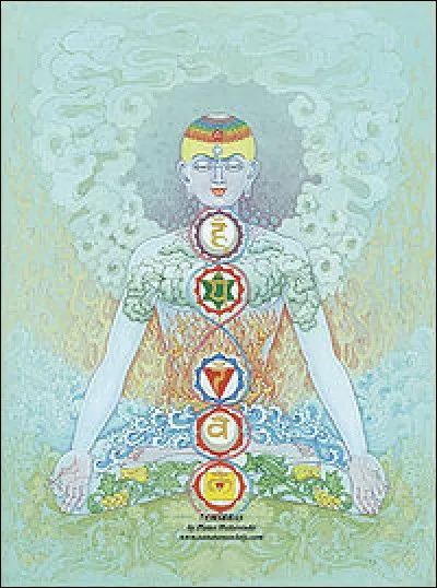 Quelle partie du corps humain n'est pas l'un des 7 chakras du yoga ?