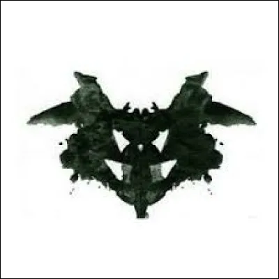 Que vois-tu sur l'image ?